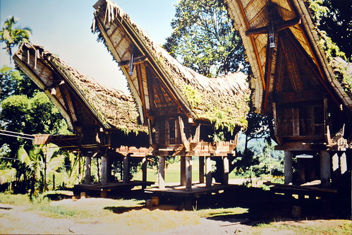 Indonesia - Sulawesi - Tanah Toraja - Rice Barns