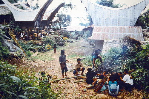 Indonesia - Sulawesi - Tanah Toraja - Village Life - 11