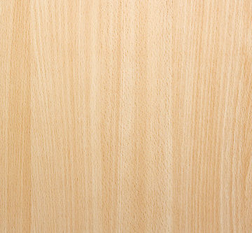 Natural Beech Wood Background Texture