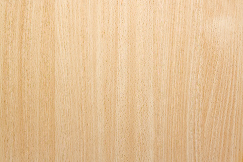 Natural Beech Wood Background Texture