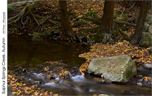 Sulphur Springs Creek, Autumn