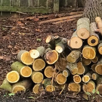 We had some trees taken down and they left firewood for us, but looking at that pile has got the woodworker in me thinking I should save some for projects. There is maple and I *think* some osage orange in there #woodworking