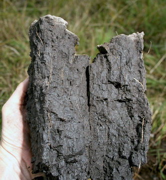 Prismatic soil structure