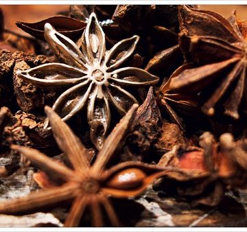 Star Anise