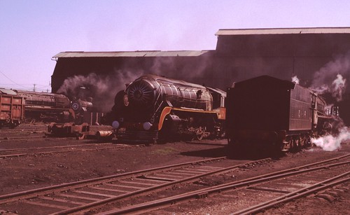 1980-02-06-0054-Basin-Bridge-shed