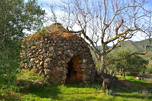 Barraca de pedra seca, les Planes, Torrelles de Foix.