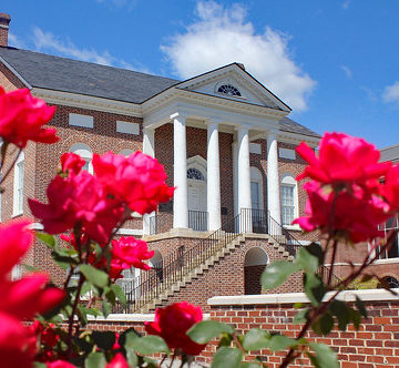 Roses at the Court House 1