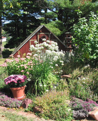 Garden Shed in Late Summer