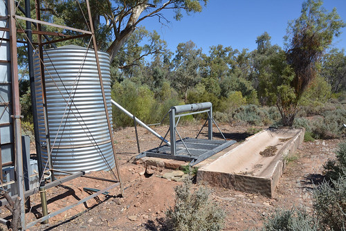 Beltana Government Well and concrete trough c1917, Flinders Ranges, South Australia