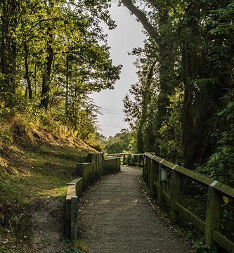 Path back to the locks