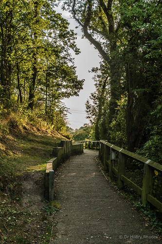 Path back to the locks