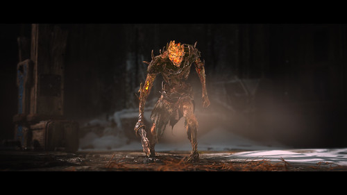 Draugr