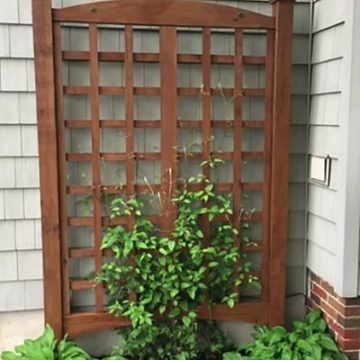 DIY Trellis