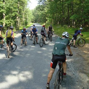 Shed Epic- Re-group before Busted Knuckles