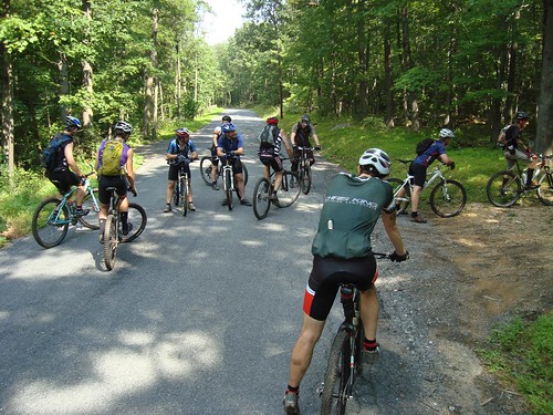 Shed Epic- Re-group before Busted Knuckles