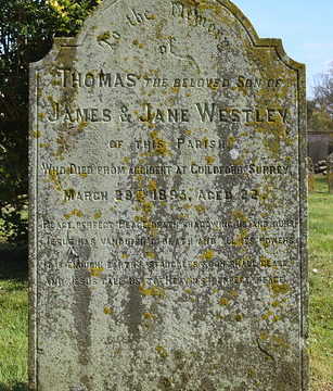 Died from accident at Guildford, Surrey (1895)