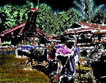 Indonesia - Sulawesi - Tana Toraja - Bori - Funeral Ceremony - Day 4 - 718ee