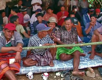 Indonesia - Sulawesi - Tana Toraja - Bori - Funeral Ceremony - Day 4 - Cock Fighting - 950