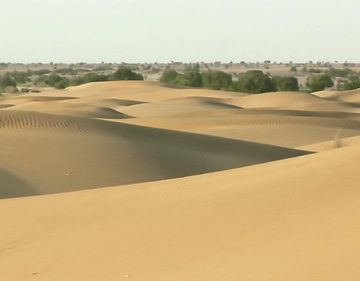 India - Rajasthan - Jaisalmer - Desert - 18