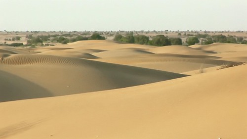 India - Rajasthan - Jaisalmer - Desert - 18