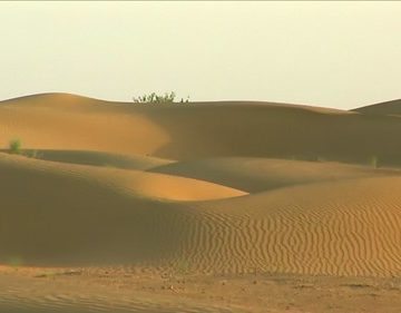 India - Rajasthan - Jaisalmer - Desert - 17