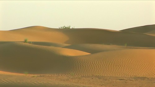 India - Rajasthan - Jaisalmer - Desert - 17