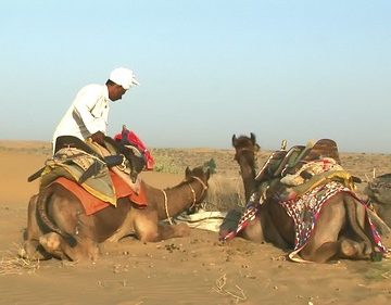 India - Rajasthan - Jaisalmer - Desert - 39