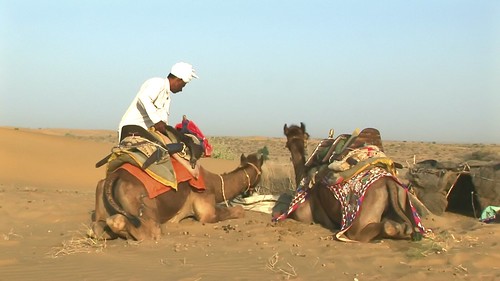 India - Rajasthan - Jaisalmer - Desert - 39