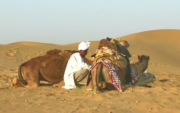 India - Rajasthan - Jaisalmer - Desert - 36b