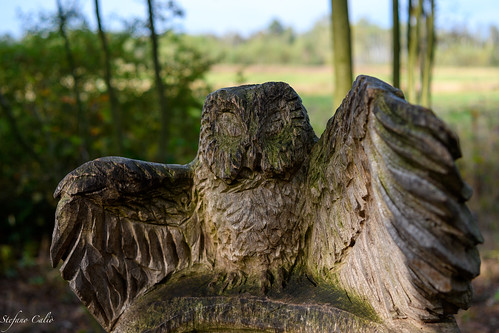 Chair owl