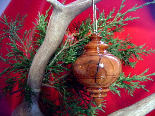 Ornament 2010-101b