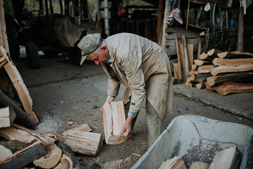 Old man arranging cut firewood in a wheelbarrow.