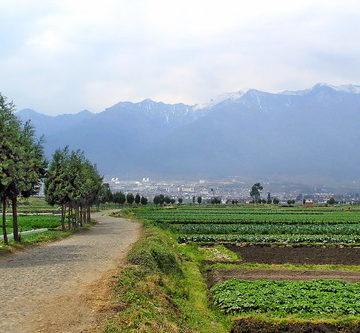 China - Yunnan - Dali - Country Side