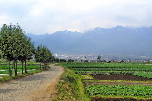 China - Yunnan - Dali - Country Side