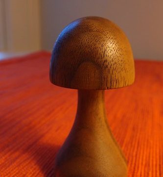 Mushroom two