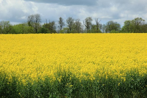 Wimpole Estate (NT) 12-05-2012