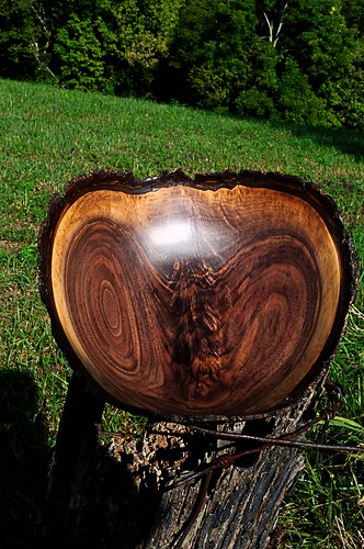 Walnut feather crotch natural edge bowl