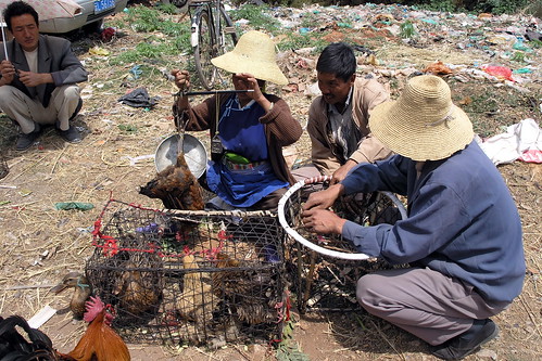 China - Yunnan - Dali - Market - 79