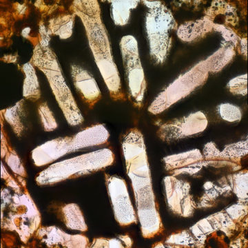 Selma Meteorite Thin Section Image 1 and 2