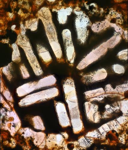 Selma Meteorite Thin Section Image 1 and 2