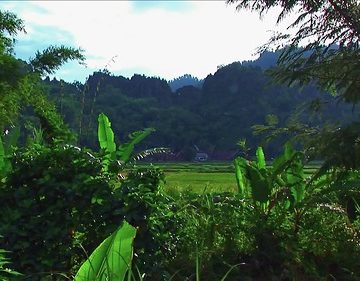 Indonesia - Sulawesi - Tanah Toraja - 322