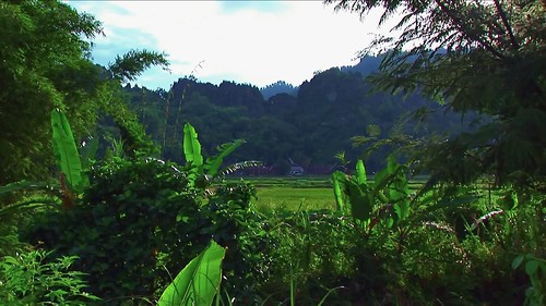 Indonesia - Sulawesi - Tanah Toraja - 322