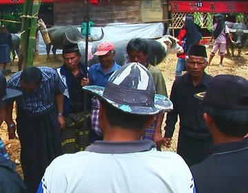 Indonesia - Sulawesi - Tana Toraja - Bori - Funeral Ceremony - Day 4 - 788