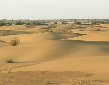 India - Rajasthan - Jaisalmer - Desert - 23