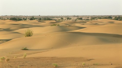 India - Rajasthan - Jaisalmer - Desert - 23