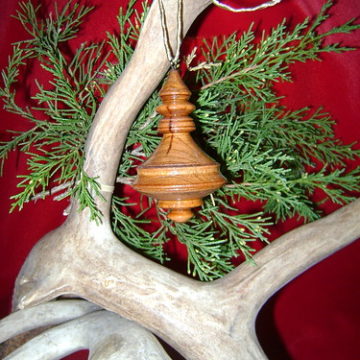 Ornament 2010-102b