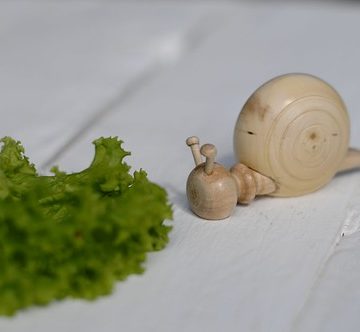 Escargot