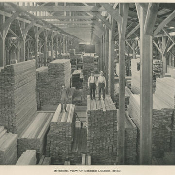 Dressed Lumber Shed, Potlatch Lumber Company, 1907 - Potlatch, Idaho