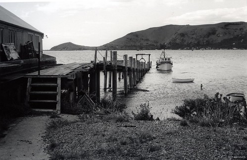 Otakou Fisheries Shed, Harington Point Road c1973