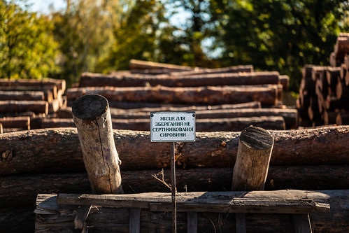 Polissa sawmill